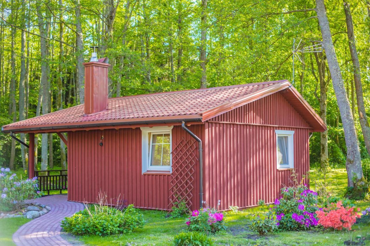 Namelis Nr 1 Adeles Sodyba Sturmai Exteriér fotografie