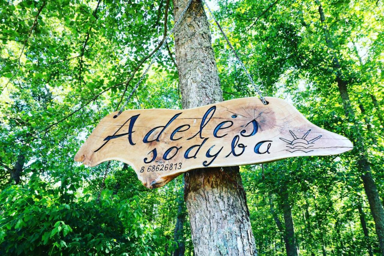 Namelis Nr 1 Adeles Sodyba Sturmai Exteriér fotografie